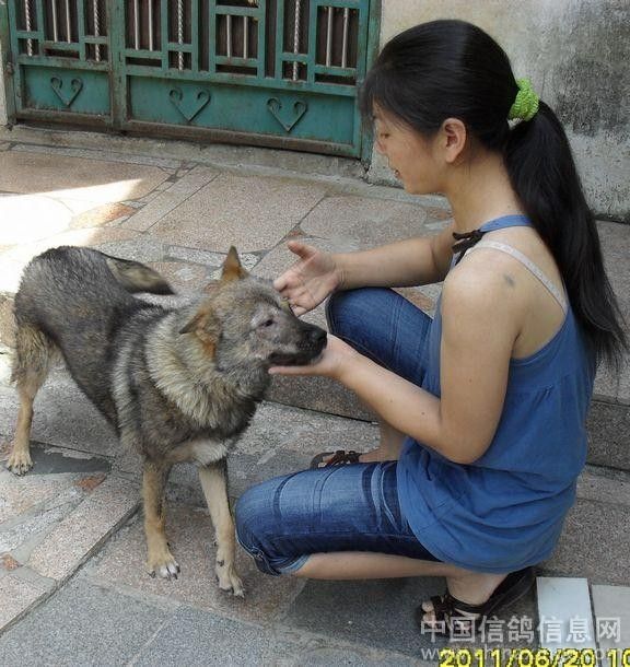 狗狗爱舔人怎么回事 女童与狗可乐盘 养狗的女人不能娶(4)(点击浏览下一张趣图)
