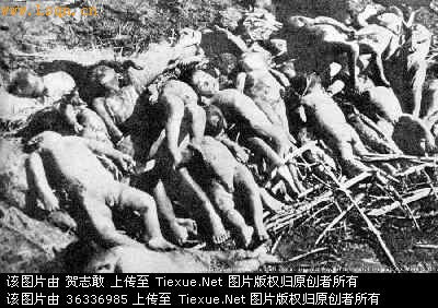 慰安妇的悲惨生活接待日军邪恶悲惨图片 日本慰安妇18分钟6次(6)(点击浏览下一张趣图)