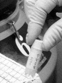 日本捐精室内部实景组图 日本献身人工受孕图(6)(点击浏览下一张趣图)