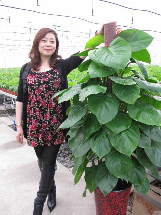 风韵50中年女人中国风韵徐娘:徐娘开放日志,胖徐娘的日志图片(6)(点击浏览下一张趣图)