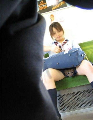 林心如凸凹图片:范冰冰凸凹美女,凸凹的门图片(2)(点击浏览下一张趣图)