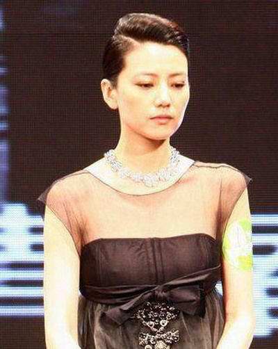 高圆圆ps黄图:高圆圆未ps照片,高圆圆合成ps(点击浏览下一张趣图)