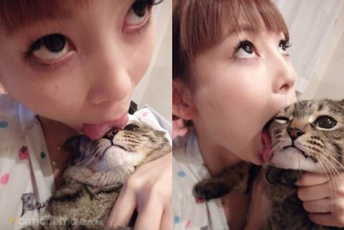 咬人猫的结婚照片曝光:咬人猫多少钱一晚(点击浏览下一张趣图)