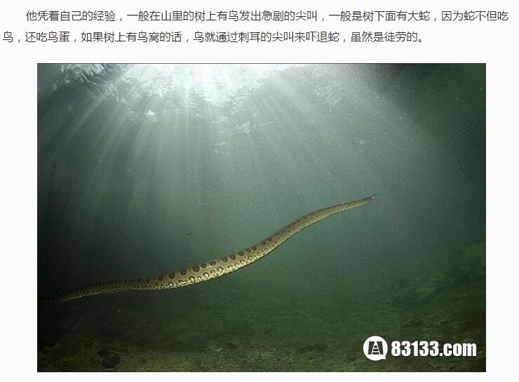 安徽巨蟒渡劫事件真实揭幕(4)(点击浏览下一张趣图)