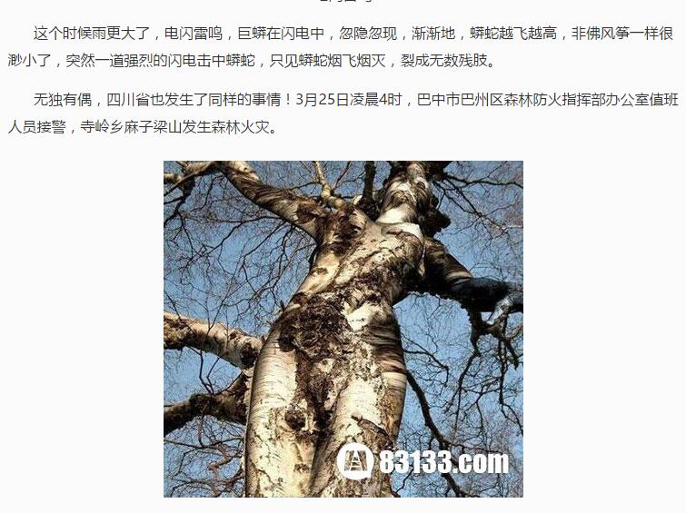 安徽巨蟒渡劫事件真实揭幕(6)(点击浏览下一张趣图)