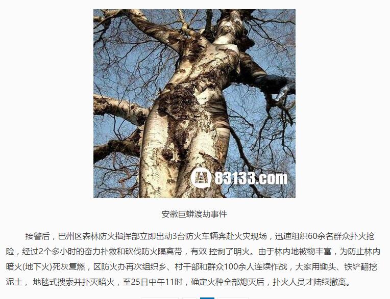 安徽巨蟒渡劫事件真实揭幕(7)(点击浏览下一张趣图)