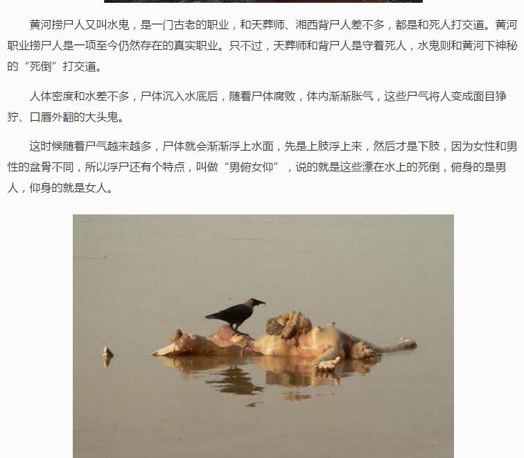 黄河捞尸人真实故事(2)(点击浏览下一张趣图)