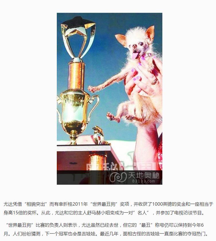 世界上最丑的狗[尤达](2)(点击浏览下一张趣图)