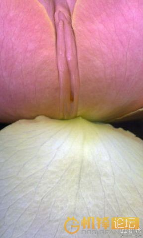 长的像b的植物图片:邪恶的植物图(6)(点击浏览下一张趣图)