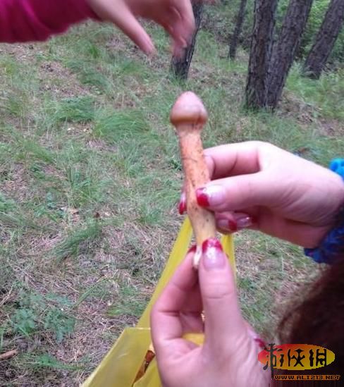 邪恶的蘑菇:邪恶景观图片(2)(点击浏览下一张趣图)