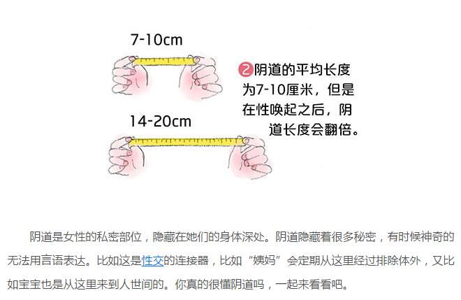 阴道长啥样图解解析(2)(点击浏览下一张趣图)