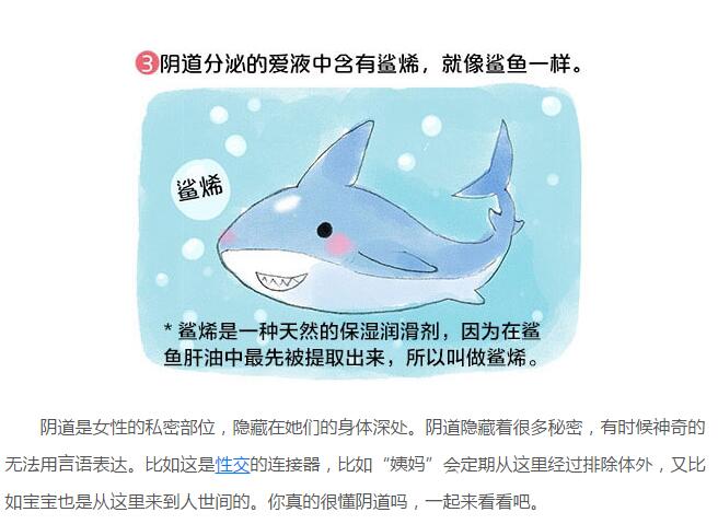 阴道长啥样图解解析(3)(点击浏览下一张趣图)