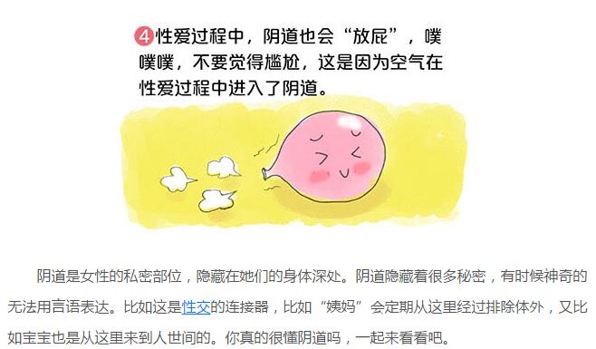 阴道长啥样图解解析(4)(点击浏览下一张趣图)