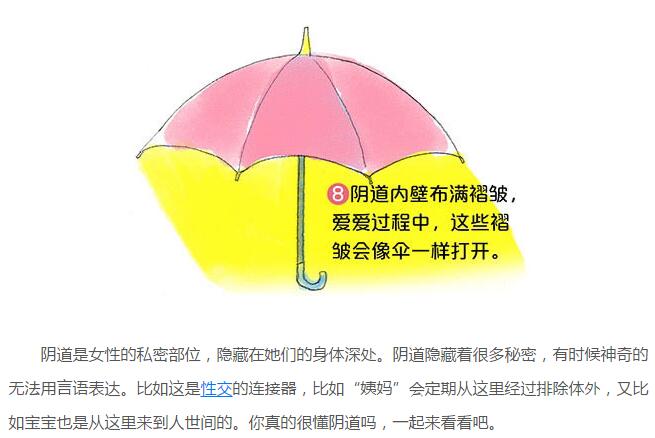 阴道长啥样图解解析(8)(点击浏览下一张趣图)