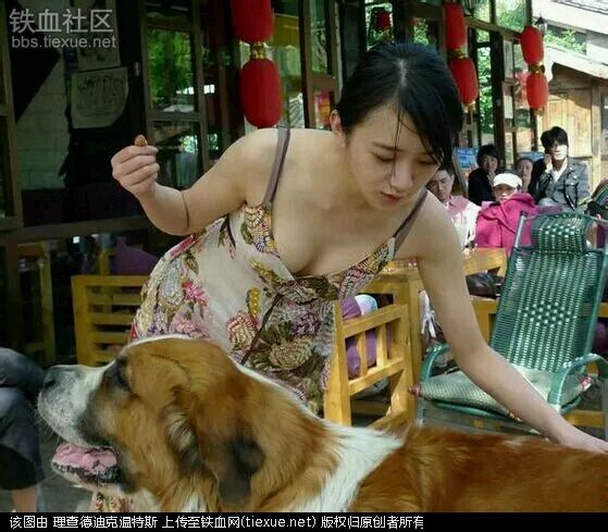 爱狗人士的真面目 爱狗女士群照片(2)(点击浏览下一张趣图)