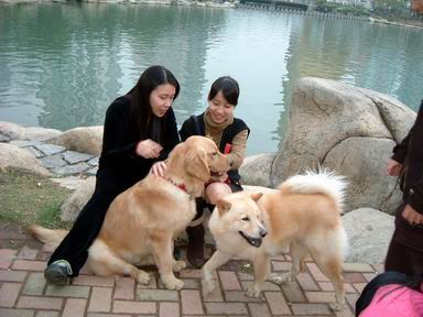 爱狗人士的真面目 爱狗女士群照片(3)(点击浏览下一张趣图)