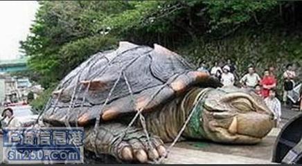 两千年前古墓挖出神龟 古墓挖出千年巨龟图片(点击浏览下一张趣图)
