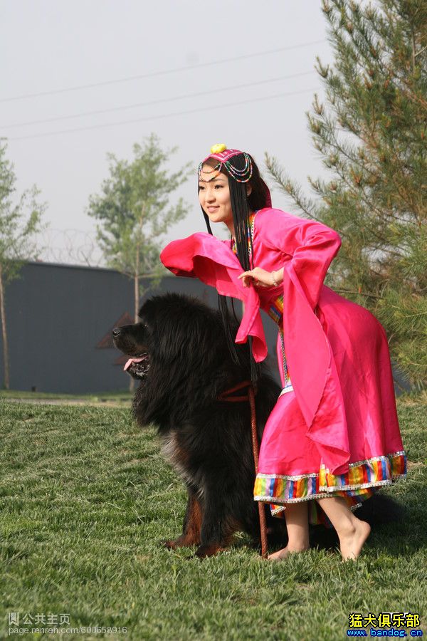 闹闹飞飞聊天记录图片 女人爱狗狗微信群真实图片(5)(点击浏览下一张趣图)