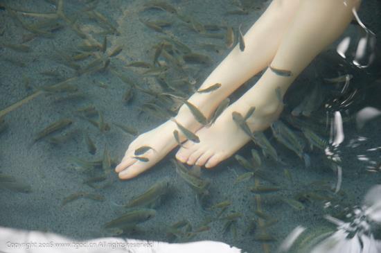 偷偷插12p小说12p鲍鱼百度：亚洲美女排行榜前十名(6)(点击浏览下一张趣图)