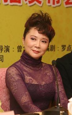 春晚蔡明裙子曲径通幽：蔡明春晚身材火辣贴吧(5)(点击浏览下一张趣图)