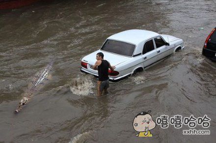 鳄鱼你是来搞笑的吧(点击浏览下一张趣图)