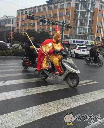 猴哥你的筋头云呢(点击浏览下一张趣图)