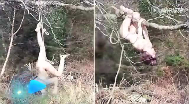 全裸倒吊树上图：什么民族男女混浴(3)(点击浏览下一张趣图)