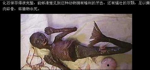 真实美人鱼生孩子视频：美人鱼真身吓人视频图(8)(点击浏览下一张趣图)