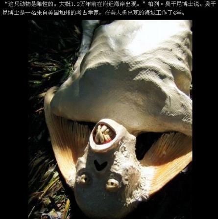 海军活抓美人鱼图：渔民捕获一条美人鱼(点击浏览下一张趣图)