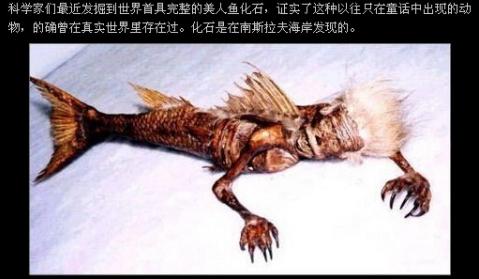 美人鱼真的存在吗，美人鱼宝宝图片(2)(点击浏览下一张趣图)