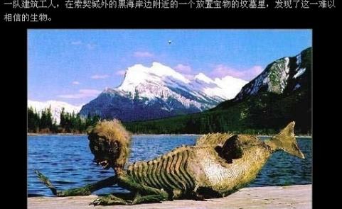 美人鱼真的存在吗，美人鱼宝宝图片(3)(点击浏览下一张趣图)