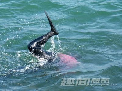 广东水库抓到一只女鬼图片(2)(点击浏览下一张趣图)