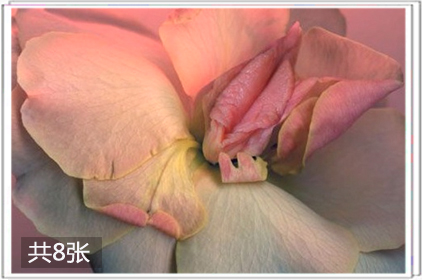 女人十大明器羊肠图解：女性名器馒头缝图(点击浏览下一张趣图)