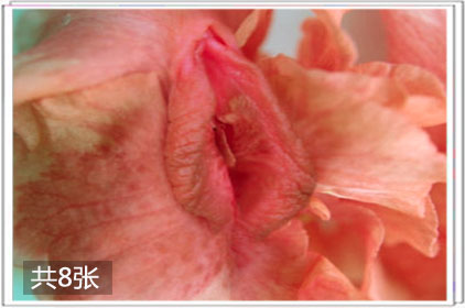 女人十大明器羊肠图解：女性名器馒头缝图(3)(点击浏览下一张趣图)