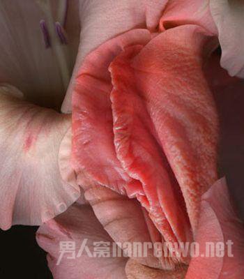 食人阴图片：十大名器的感觉 二十大名器女人图(4)(点击浏览下一张趣图)
