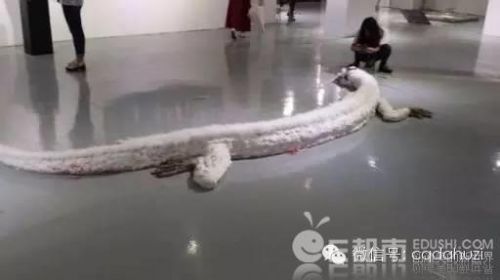 界上仅存的三条蛟龙图片(5)(点击浏览下一张趣图)