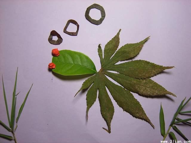 树叶粘贴画图片大全(3)(点击浏览下一张趣图)