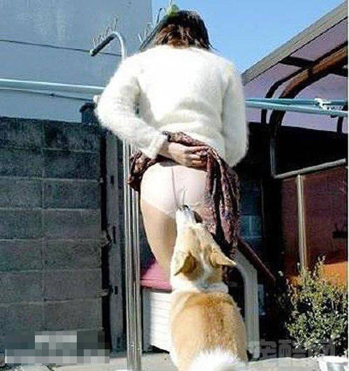 玩弄下半身的女人图：人与动物第1页(7)(点击浏览下一张趣图)