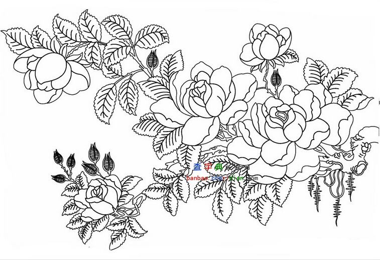牡丹花图片简笔画(3)(点击浏览下一张趣图)
