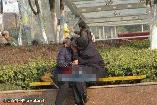 六寻老人树林偷腥图片：胖大叔树林偷腥图片(3)(点击浏览下一张趣图)