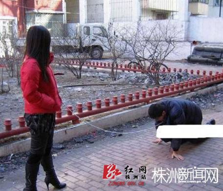 秘密科学实验社之铃子：美女犬秘密研究基地(3)(点击浏览下一张趣图)