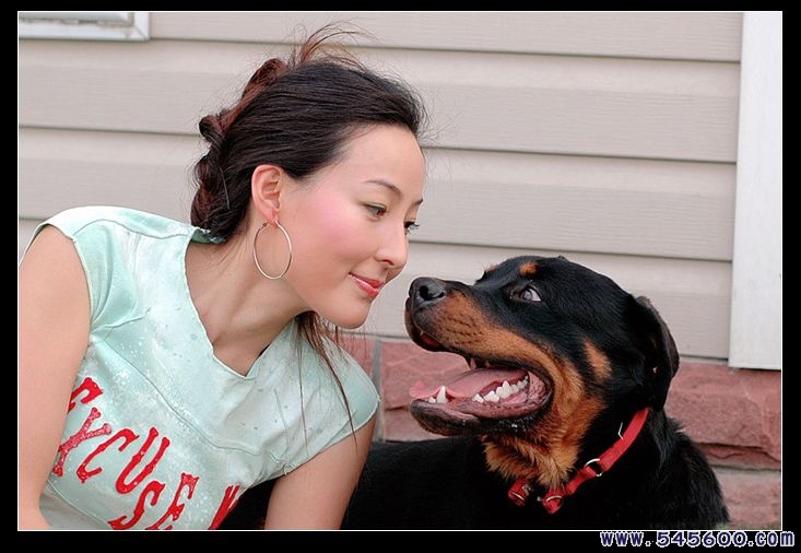 大犬狗插女人图片：狗的东西有多大图(2)(点击浏览下一张趣图)