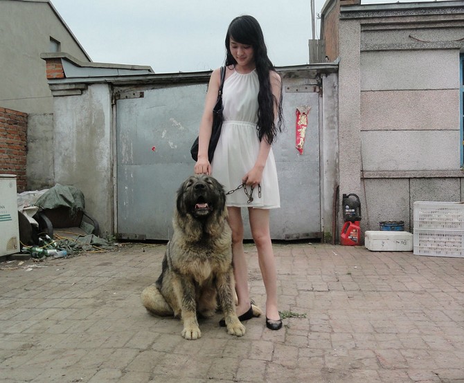 人兽交完全进入mp4：狗鞭进入女人子宫感觉(2)(点击浏览下一张趣图)