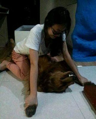 养狗的女人不能娶怎么回事(点击浏览下一张趣图)