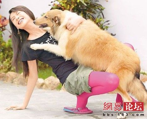 勃起的大狗生殖器图片：勃起的大狗生殖器有多大？(2)(点击浏览下一张趣图)