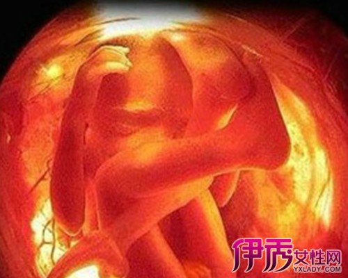 实拍四个月引产胎儿图片，实拍四个月引产胎儿图片(3)(点击浏览下一张趣图)