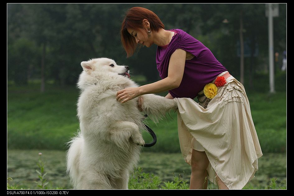 狗狗和美女啪啪的视频动态图：啪啪是男的爽还是女的(2)(点击浏览下一张趣图)