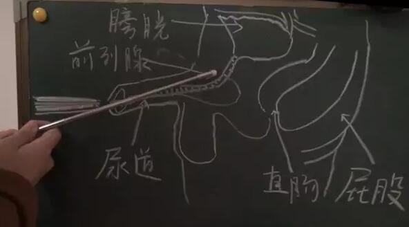 爆菊是什么意思，你真的了解吗(3)(点击浏览下一张趣图)