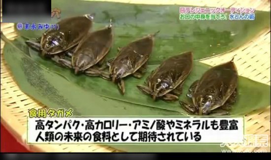 日本深夜12点综艺节目：日本猜人综艺在线播放(11)(点击浏览下一张趣图)