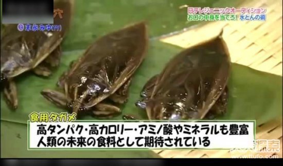 日本深夜12点综艺节目：日本猜人综艺在线播放(12)(点击浏览下一张趣图)